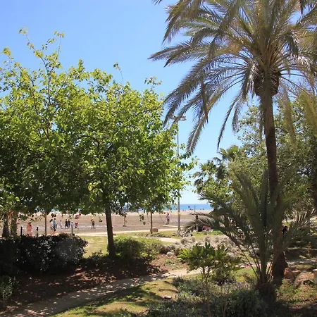 Apartment Tamarindos 30m De La Plage *
